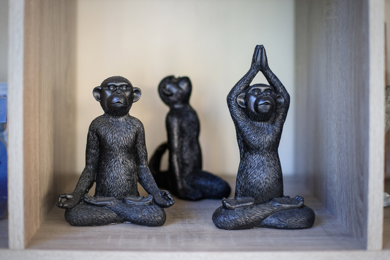 Trois statuettes de singes en position zen